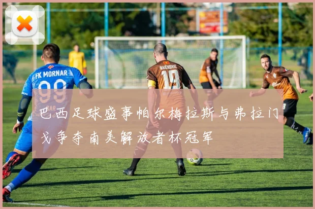 巴西足球盛事帕尔梅拉斯与弗拉门戈争夺南美解放者杯冠军
