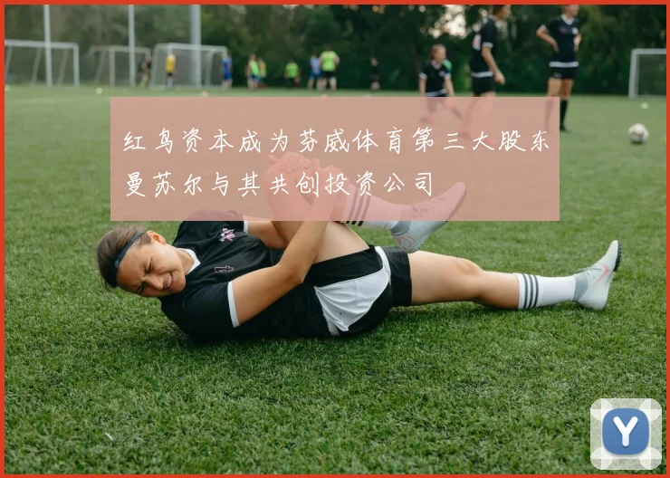 红鸟资本成为芬威体育第三大股东曼苏尔与其共创投资公司